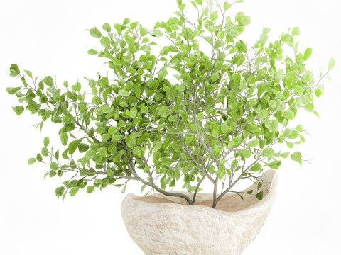 Realistic green floral bouquet branches leaves decor vase 667 3D Model