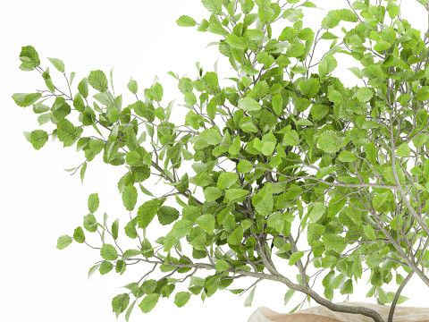 Realistic green floral bouquet branches leaves decor vase 667 3D Model