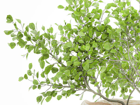Realistic green floral bouquet branches leaves decor vase 667 3D Model