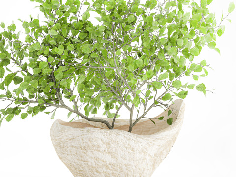 Realistic green floral bouquet branches leaves decor vase 667 3D Model