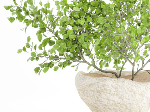 Realistic green floral bouquet branches leaves decor vase 667 3D Model