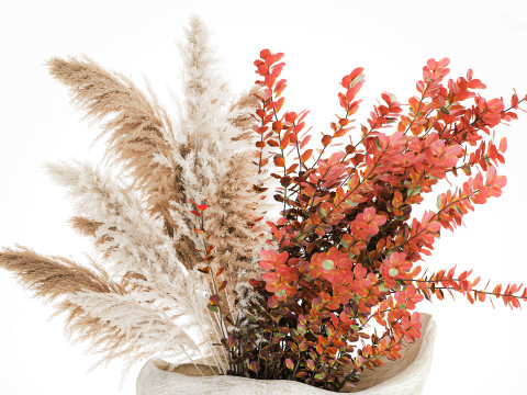 Bouquet autumn flowers branches pampas barberry vase decor 3D Model