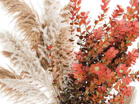 Bouquet autumn flowers branches pampas barberry vase decor 3D Model