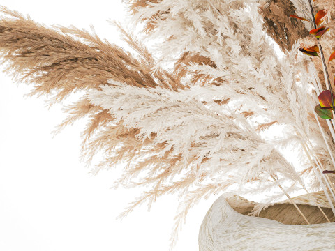 Bouquet autumn flowers branches pampas barberry vase decor 3D Model