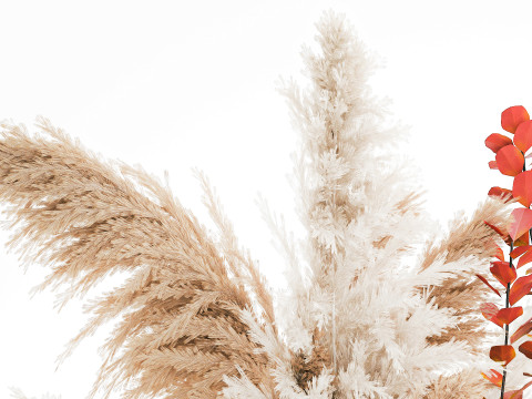 Bouquet autumn flowers branches pampas barberry vase decor 3D Model