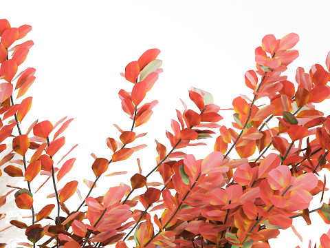 Bouquet autumn flowers branches pampas barberry vase decor 3D Model