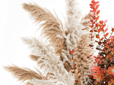 Bouquet autumn flowers branches pampas barberry vase decor 3D Model