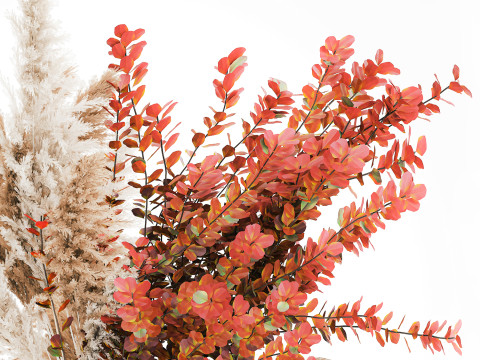 Bouquet autumn flowers branches pampas barberry vase decor 3D Model