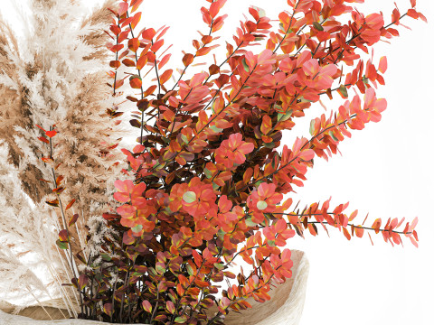 Bouquet autumn flowers branches pampas barberry vase decor 3D Model
