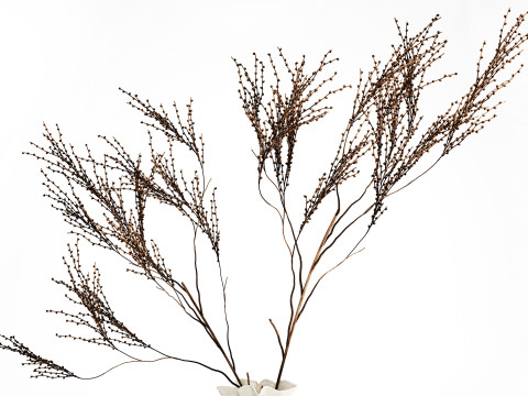 Décor réaliste de branches de bouquet de fleurs séchées dans un vase en céramique Modèle 3D