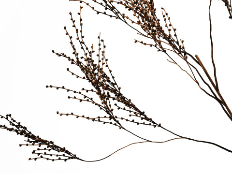 Décor réaliste de branches de bouquet de fleurs séchées dans un vase en céramique Modèle 3D