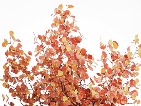 写实秋季花束干伏牛枝陶瓷花瓶 671 3D 模型