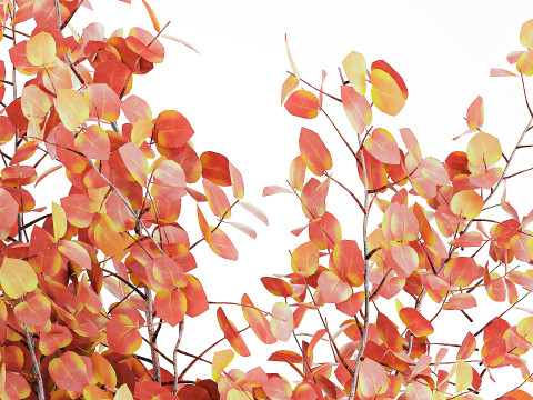 写实秋季花束干伏牛枝陶瓷花瓶 671 3D 模型