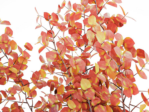 写实秋季花束干伏牛枝陶瓷花瓶 671 3D 模型