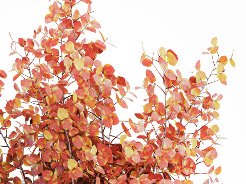 写实秋季花束干伏牛枝陶瓷花瓶 671 3D 模型