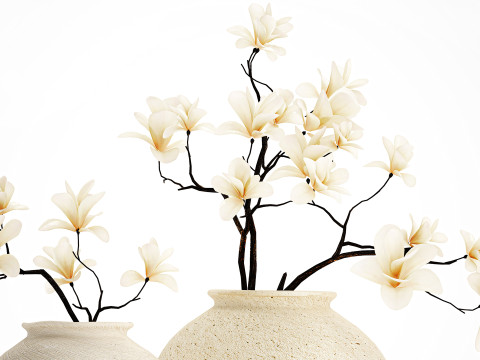 Realistic bouquet white flowers blooming Magnolia vase decor 672 3D Model