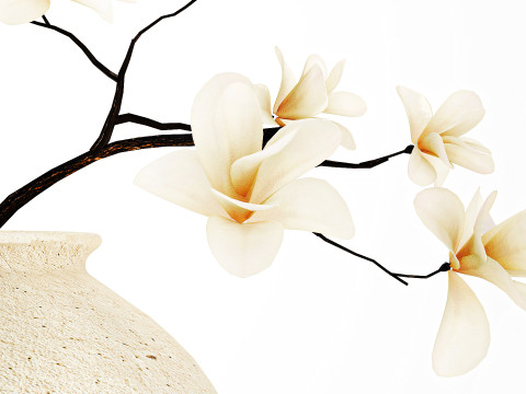 Realistic bouquet white flowers blooming Magnolia vase decor 672 3D Model
