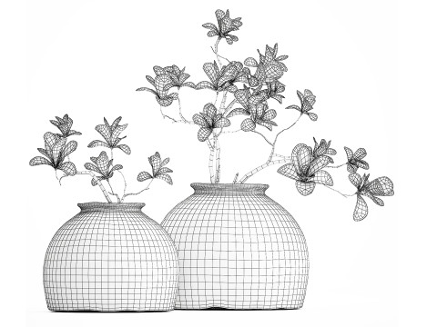 Realistic bouquet white flowers blooming Magnolia vase decor 672 3D Model