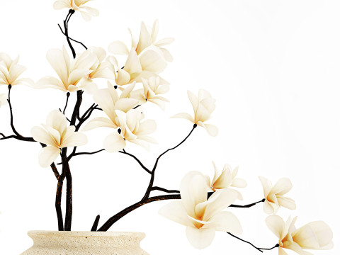 Realistic bouquet white flowers blooming Magnolia vase decor 672 3D Model