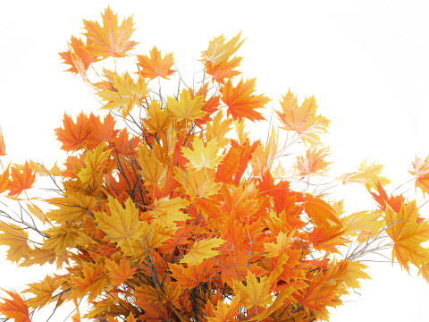 Galhos de buquê de outono realista, folhas de bordo amarelo, decoração de vaso Modelo 3D