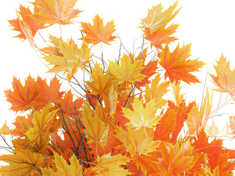 Galhos de buquê de outono realista, folhas de bordo amarelo, decoração de vaso Modelo 3D