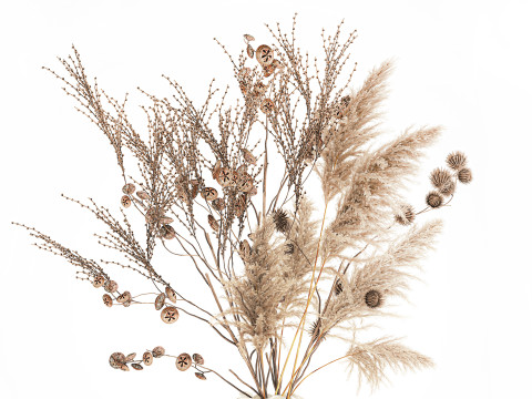 현실적인 가을 꽃다발 말린 팜파스 가지 꽃병 장식 3D 모델