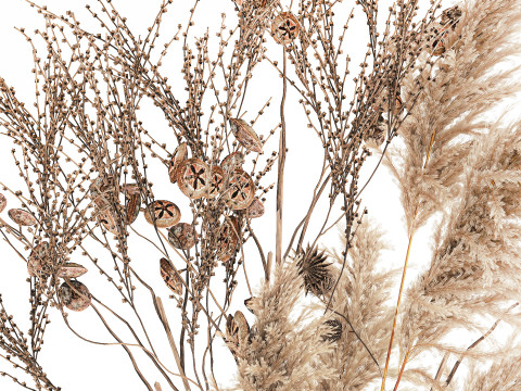 현실적인 가을 꽃다발 말린 팜파스 가지 꽃병 장식 3D 모델