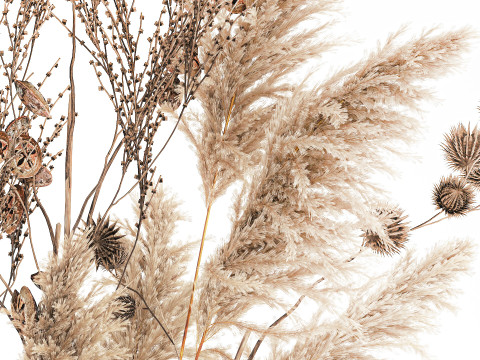 현실적인 가을 꽃다발 말린 팜파스 가지 꽃병 장식 3D 모델