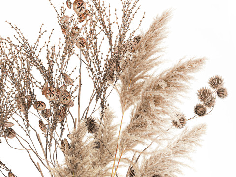 현실적인 가을 꽃다발 말린 팜파스 가지 꽃병 장식 3D 모델