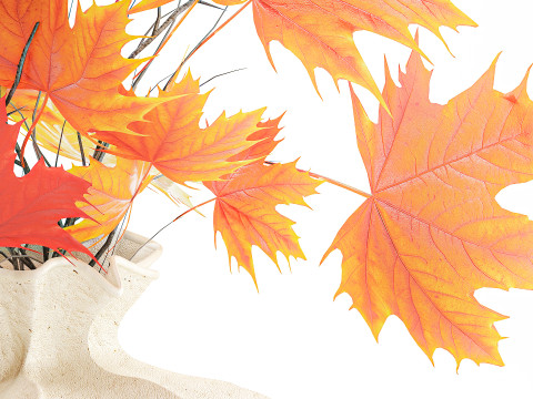 Реалистичный осенний букет из веточек желтого клена, декор вазы 675 3D Модель