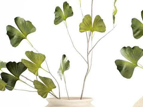 Bouquet réaliste de fleurs vertes, décor de vase de feuilles de ginkgo Modèle 3D