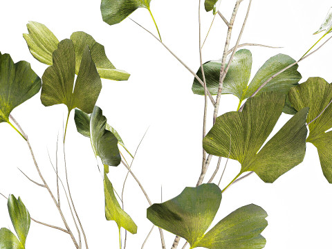 Bouquet réaliste de fleurs vertes, décor de vase de feuilles de ginkgo Modèle 3D