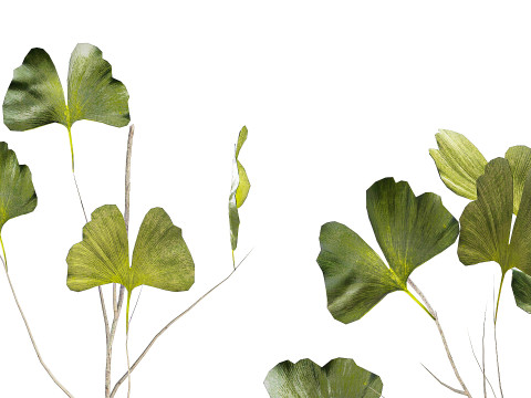 Bouquet réaliste de fleurs vertes, décor de vase de feuilles de ginkgo Modèle 3D