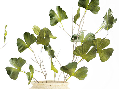 Bouquet réaliste de fleurs vertes, décor de vase de feuilles de ginkgo Modèle 3D