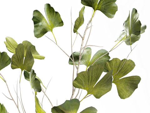 Bouquet réaliste de fleurs vertes, décor de vase de feuilles de ginkgo Modèle 3D