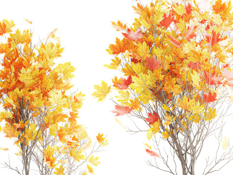 树木秋叶白色花盆枫梧桐花瓶装饰 3D 模型