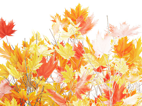 树木秋叶白色花盆枫梧桐花瓶装饰 3D 模型