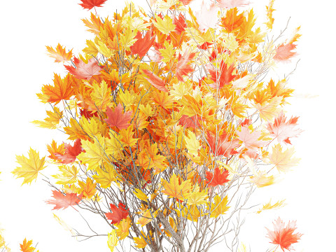 树木秋叶白色花盆枫梧桐花瓶装饰 3D 模型