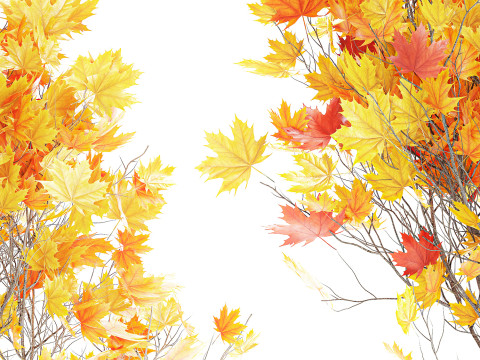 树木秋叶白色花盆枫梧桐花瓶装饰 3D 模型