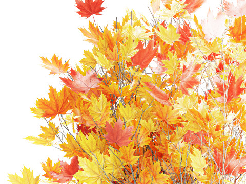 树木秋叶白色花盆枫梧桐花瓶装饰 3D 模型