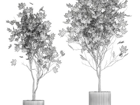 树木秋叶白色花盆枫梧桐花瓶装饰 3D 模型