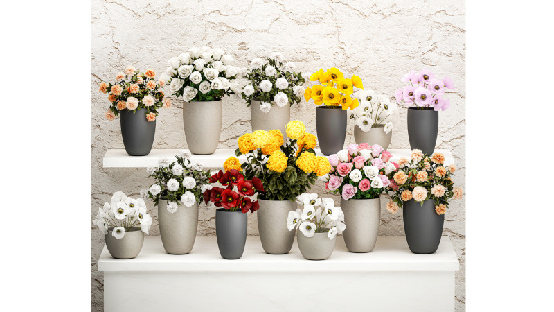 コレクション ブーケ 花瓶 フラワー ショップ 牡丹 バラ ストア 3Dモデル .c4d .max .obj .3ds .fbx .stl .blend 