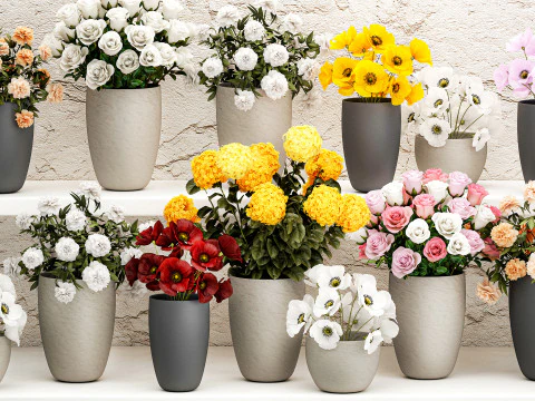 Collection bouquets vases flower shop peony roses store 3D Model