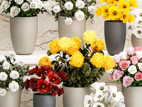 Collection bouquets vases flower shop peony roses store 3D Model