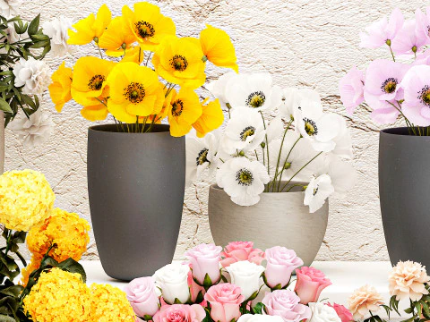 Collection bouquets vases flower shop peony roses store 3D Model