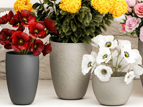 Collection bouquets vases flower shop peony roses store 3D Model