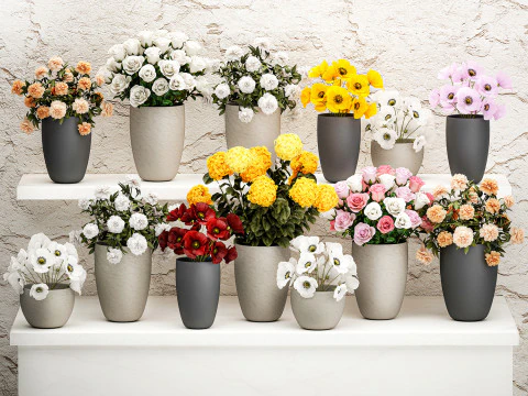 Collection bouquets vases flower shop peony roses store 3D Model