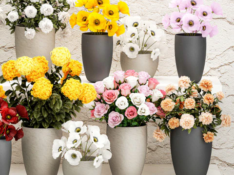 Collection bouquets vases flower shop peony roses store 3D Model