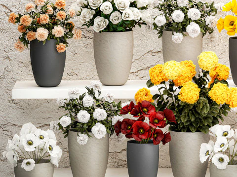 Collection bouquets vases flower shop peony roses store 3D Model