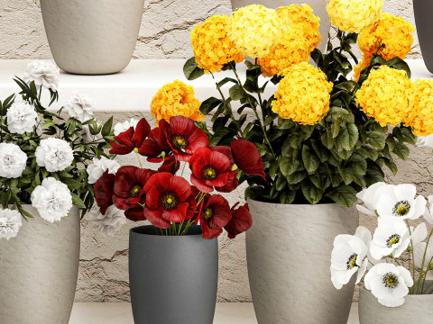Collection bouquets vases flower shop peony roses store 3D Model